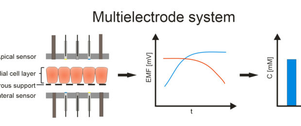Przełom w leczeniu mukowiscydozy?
