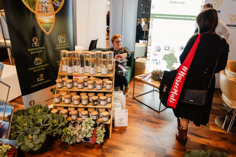 Aktywności na strefie partnera