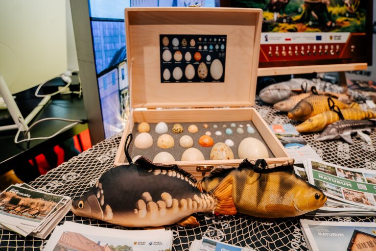 Stoisko Województwa Podlaskiego podczas 15. Forum Rozwoju Mazowsza – prezentacja przyrodniczych walorów regionu z edukacyjnymi eksponatami, m.in. modelami jaj ptaków i ryb, zachęcająca do odwiedzenia lokalnych rezerwatów i ośrodków przyrodniczych.